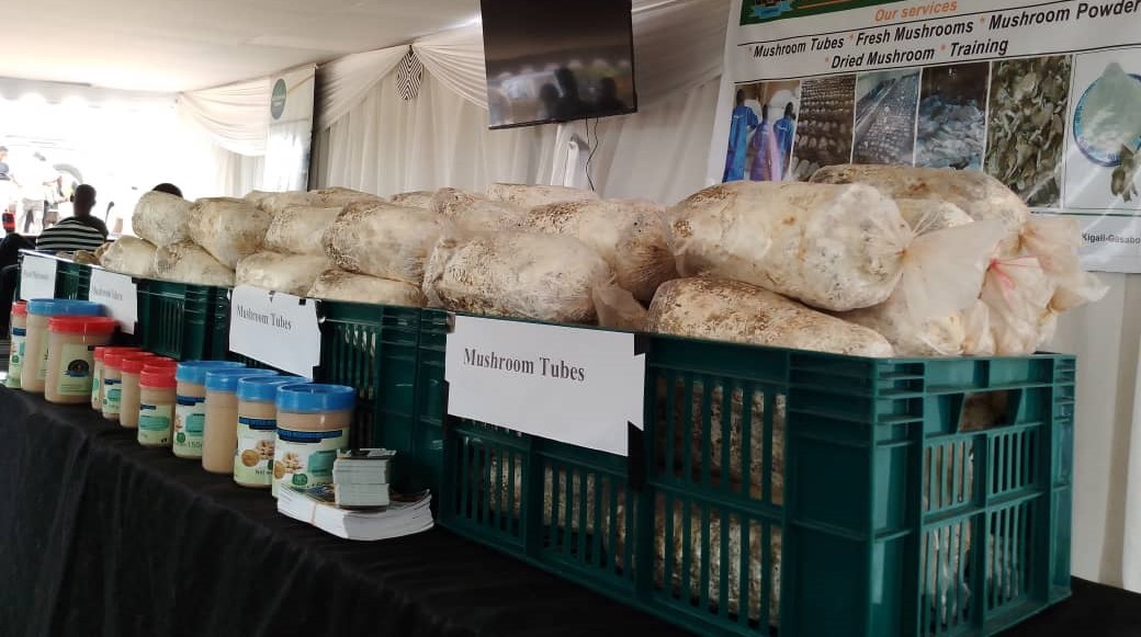 Mushroom Cultivation