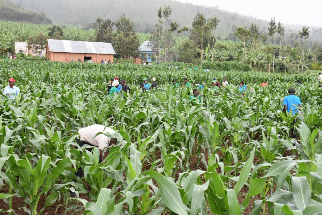 Agriculture